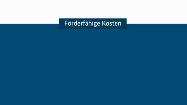 Förderfähige Kosten Förderfähige Kosten
